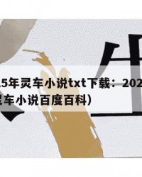 2025年灵车小说txt下载：2025年（灵车小说百度百科）