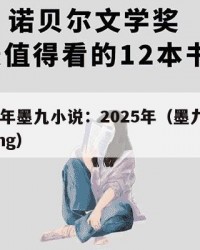2025年墨九小说：2025年（墨九小说瞳tong）