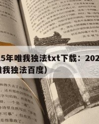 2025年唯我独法txt下载：2025年（唯我独法百度）