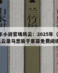 2025年小说官场风云：2025年（小说官场风云录马思骏于紫菲免费阅读全文）