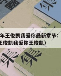 2025年王俊凯我爱你最新章节：2025年（王俊凯我爱你王俊凯）