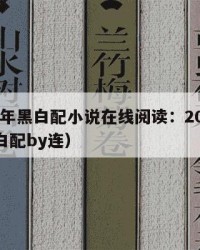 2025年黑白配小说在线阅读：2025年（黑白配by连）