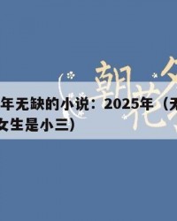 2025年无缺的小说：2025年（无缺的小说女生是小三）