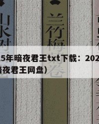 2025年暗夜君王txt下载：2025年（暗夜君王网盘）