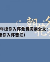 2025年撩你入怀免费阅读全文：2025年（撩你入怀晋江）